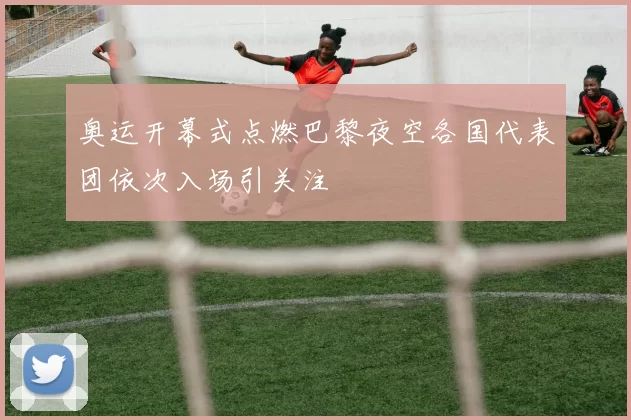 奥运开幕式点燃巴黎夜空各国代表团依次入场引关注