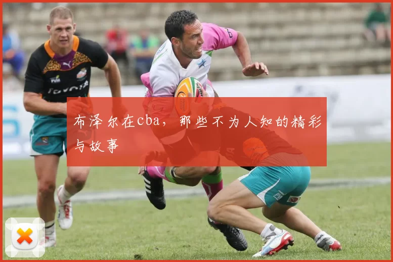 布泽尔在cba，那些不为人知的精彩与故事