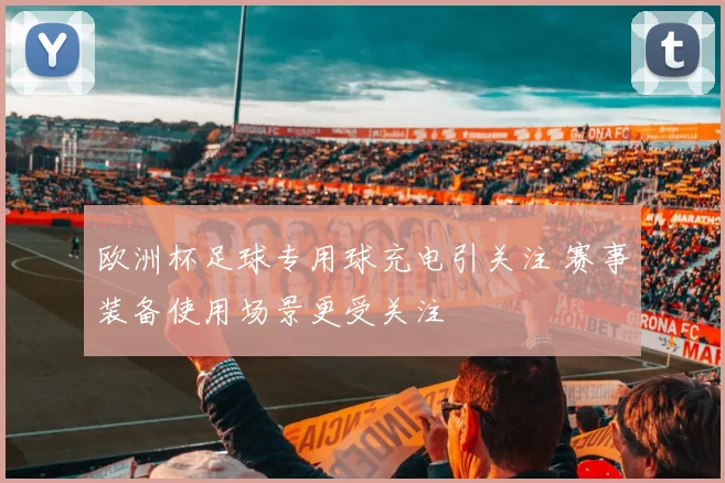 欧洲杯足球专用球充电引关注 赛事装备使用场景更受关注