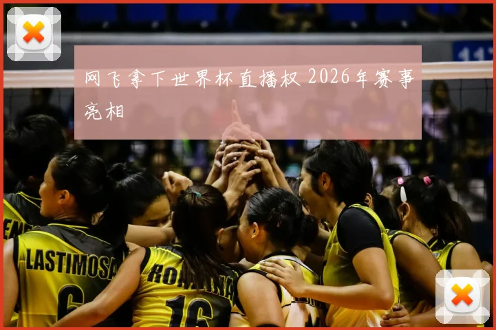 网飞拿下世界杯直播权 2026年赛事亮相
